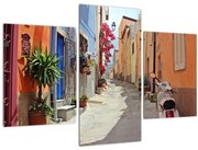 Obraz ulice na Sardínii (90x60 cm)