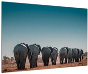 Obraz - Odchod slonov (90x60 cm)