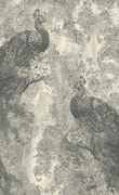 Koberec Agnella Regius Pavio popol
