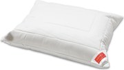 XXXLutz VANKÚŠ, 50/70 cm Hefel Textil - Prikrývky & vankúše - 004636003601