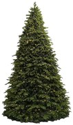 Gigantický vianočný stromček 3D Smrek Exkluzív 800cm LED5328
