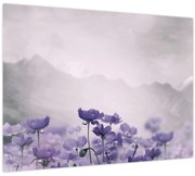 Obraz - Fialové kvety v horách (70x50 cm)