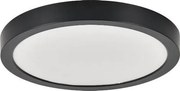 Rabalux 75076 - LED kúpeľňové stropné svietidlo SHAUN PLUS 30W/230V pr. 30 cm IP44 čierne