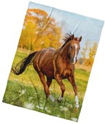 BedTex Deka mikroplyš Ryzák na lúke, 150 x 200 cm