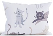 Bavlnená obliečka na vankúš Renforcé 50 × 70 cm - Mačičky