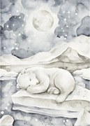 Plagát medveď 50x70cm