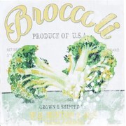 Obraz tlačený na plátne 40x40 PRC960