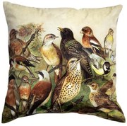 Zamatový vankúš s vtáčikmi - 45 * 45 * 10cm