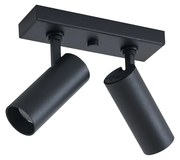 Moderné stropné svietidlo čierne vrátane LED stmievateľné 2-svetlá - Tate