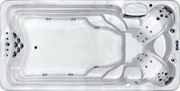 Swim Spa SR 853, 430 x 220 x 137 cm