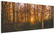 Obraz jesenného lesa (120x50 cm)