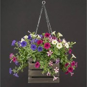 AMADEA Drevený závesný obal na kvetináč tmavý, 27x27x21 cm, český výrobok