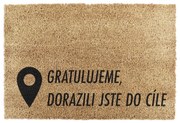 Rohožka z kokosového vlákna 40x60 cm Pin – Artsy Doormats