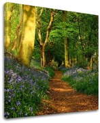 Obraz na stenu STROMY | rôzne rozmery