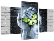 Obraz - Zelený motýľ v stene (90x60 cm)