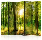 Artgeist Paraván - Forest Rays [Room Dividers]