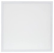 LED Panel LED/40W/230V 4000K 60x60 cm
