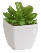 Zelený umelý dekoratívne sukulent v bielom kvetináči - 5,5 * 5,5 * 9 cm