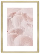 Plagát Pastel Pink I