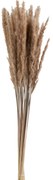 Zväzok sušené trávy hnedé - 9 * 9 * 82 cm