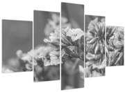 Obraz - Sušené kvety (150x105 cm)