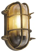 Nástenná a stropná lampa zlatá/mosadzná oválna IP44 - Noutica