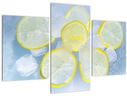 Obraz citróna v ľade (90x60 cm)