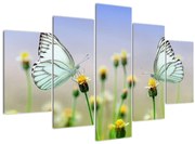Obraz motýľov na kvetine (150x105 cm)
