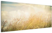 Obraz - Pole na jeseň (120x50 cm)