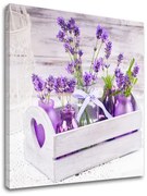 Obraz na stenu FIALOVÉ KVETY_164-12 | rôzne rozmery