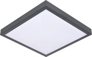 Stropné svietidlo VITALI 2xE27/60W/230V 33x33 cm antracit