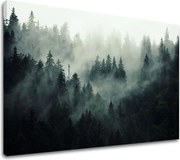 Obraz na stenu HORY_050-11