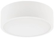 Stropné svietidlo DANTE 1xE27/60W/230V pr. 26 cm biela