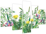 Obraz - Maľované lúčne kvety (150x105 cm)