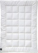 XXXLutz ZIMNÁ PRIKRÝVKA, 155/220 cm, polyester Billerbeck - Prikrývky & vankúše - 003279053802