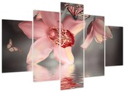 Obraz - Kvety a motýľ (150x105 cm)