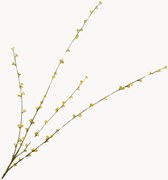 Rastlinná dekorácia Spiraea