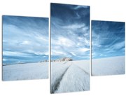 Obraz poľa (90x60 cm)