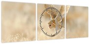 Obraz - Sova (s hodinami) (90x30 cm)