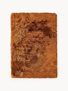 Lesklý koberec's vysokým vlasom Jimmy