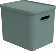 Rotho Úložný box, rovný s víkom, 27l, matná zelená ALBU LIGHT, 37x29x30