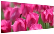 Obraz - Ružové tulipány (120x50 cm)
