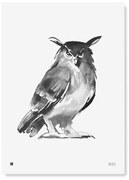 Plagát Eagle Owl 50x70