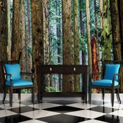 Fototapeta - Les (254x184 cm)