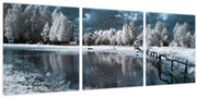 Obraz - Zamrznutá krajina (s hodinami) (90x30 cm)