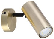 Candellux Mosadzné stropné/nástenné svietidlo Colly pre žiarovku GU10 91-01702