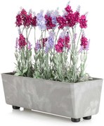 PLASTOVÝ KVETINÁČ SALVIA 37,5X17 CM IMITÁCIA BETÓNU SIVÁ