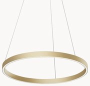 Závesné LED-svietidlo Rim
