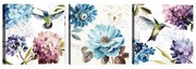 Sada 3 obrazov Tablo Center Hummingbird
