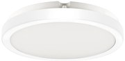 Stropné LED svietidlo Vera, 1x LED 24w, 4000k, w